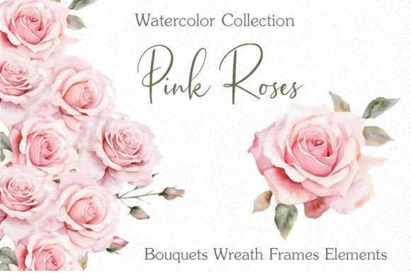 Roses Watercolor Clipart: Versatile Flora for Your Designs